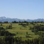 Nad Tatrzanska Pasieka *