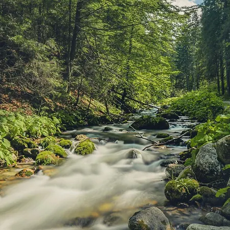 Nad Tatrzanska Pasieka